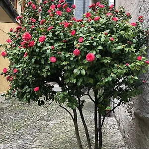 Casa Apartment